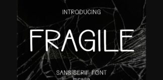 Fragile Font Poster 1