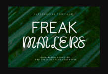 Freak Mailers Font Poster 1