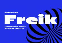 Freik  Font Poster 1