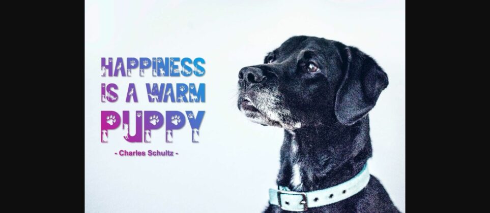 Friendly Dog Font Poster 6