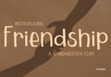 Friendship Font Poster 1