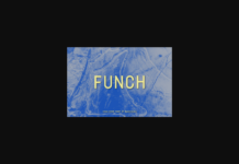 Funch Font Poster 1