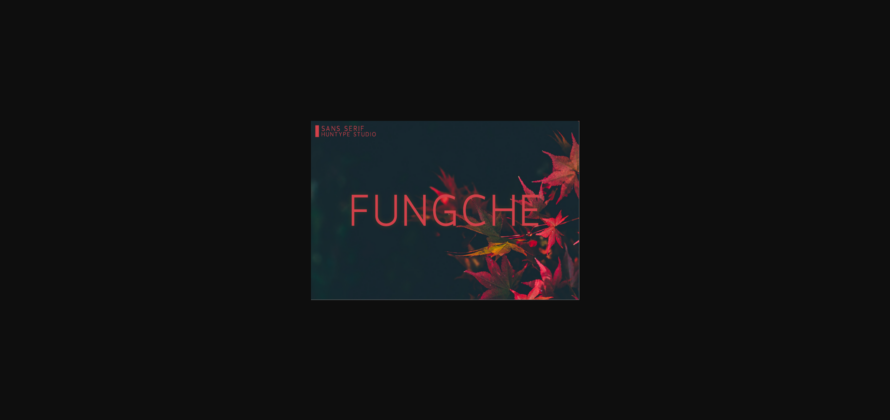 Fungche Font Poster 3