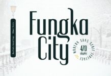 Fungka City Font Poster 1