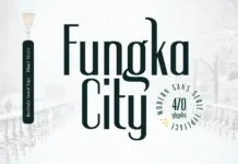 Fungka City Font Fungka City Font Poster 1