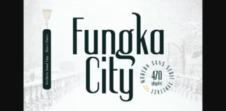 Fungka City Font Poster 1