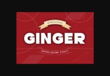 Ginger Font Poster 1