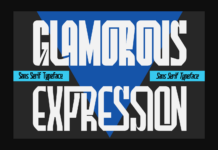 Glamorous Expression Font Poster 1