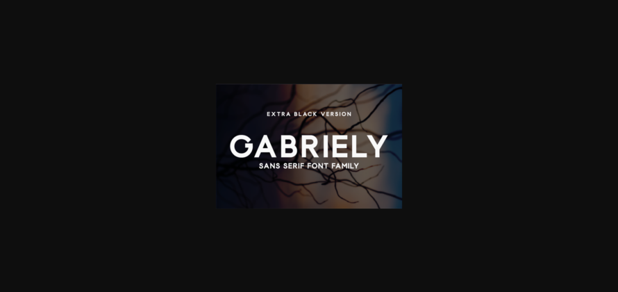 Gabriely Extra Black Font Poster 3