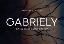 Gabriely Medium Font Gabriely Medium Font