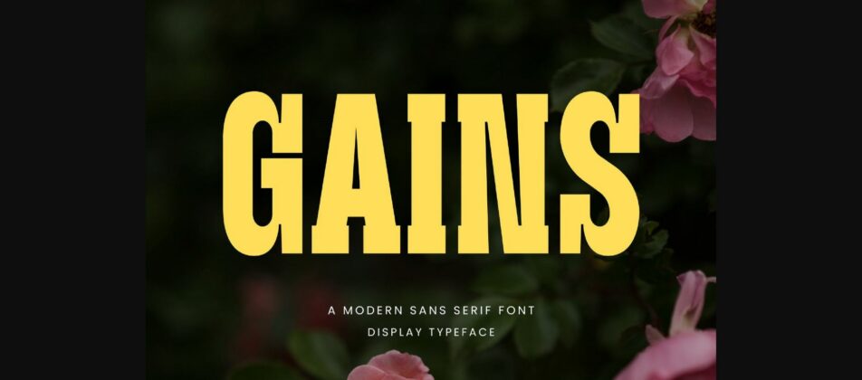 Gains Font Poster 3