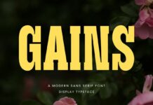 Gains Font Poster 1