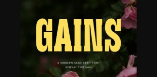 Gains Font Poster 1