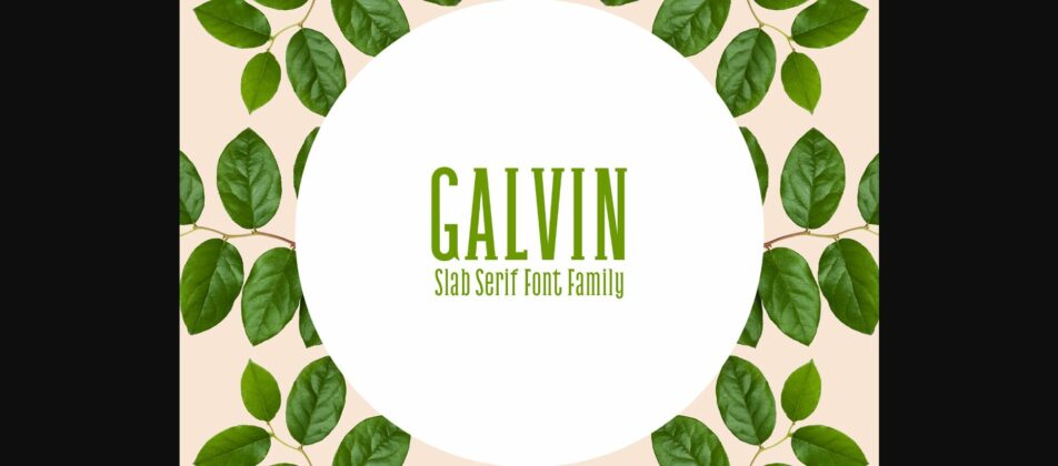 Galvin Family Pack Poster 1