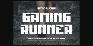 Gaming Runner Font Poster 1