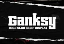 Ganksy Ganksy Fonts