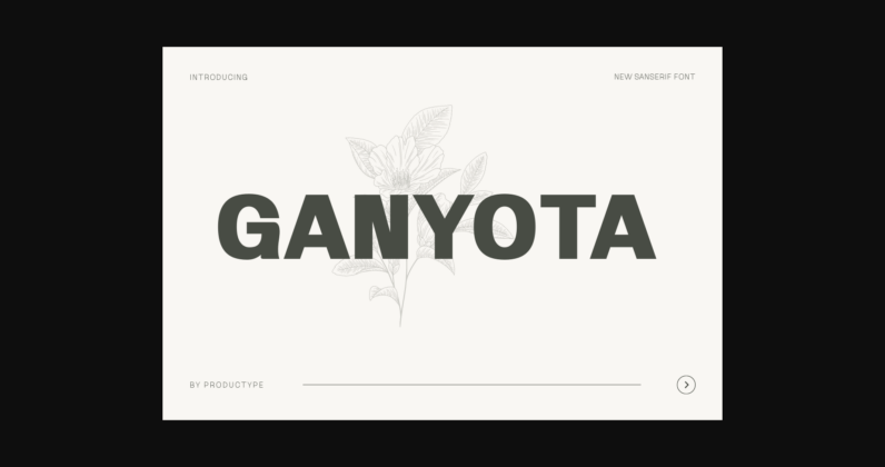 Ganyota Font Poster 3