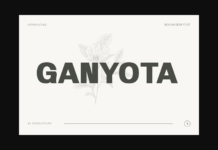 Ganyota Font Poster 1