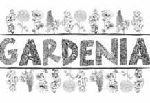Gardenia LF Font Poster 1