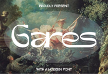 Gares Modern Sans Font Poster 1