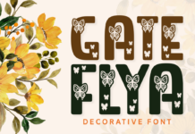 Gate Flya Font Poster 1