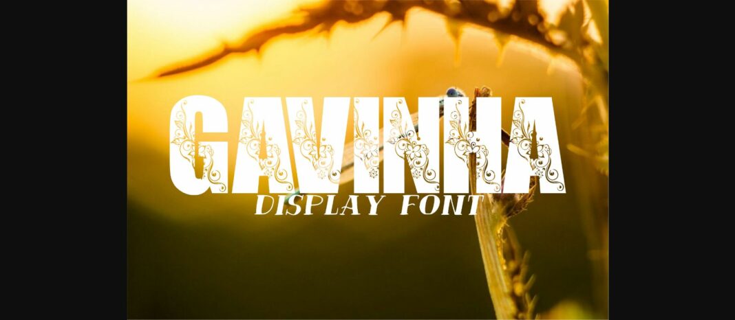 Gavinha Font Poster 3