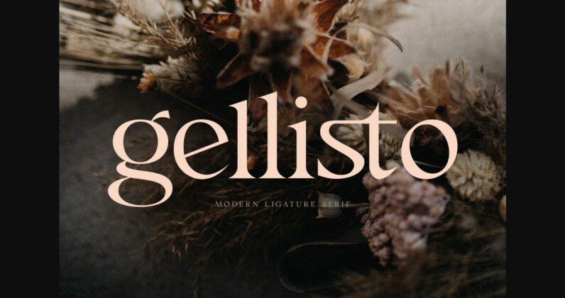 Gellisto Font Poster 3