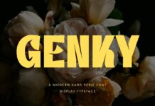 Genky Font Poster 1