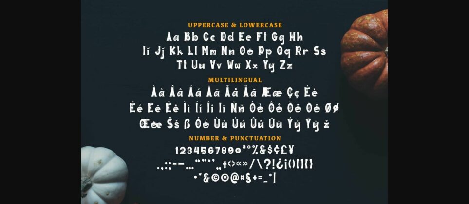 Ghostown Font Poster 7