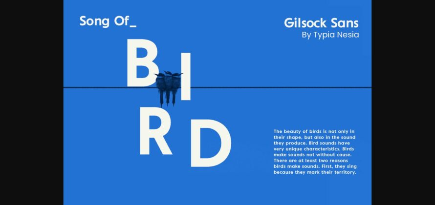 Gilsock Font Poster 5