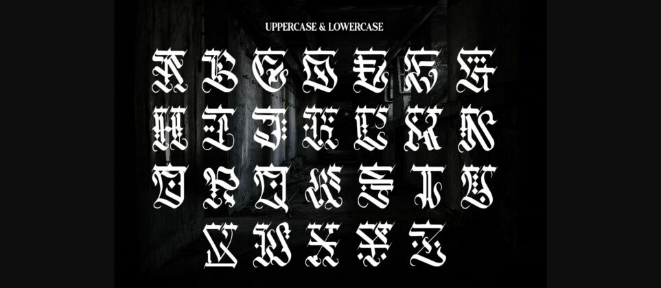 Gin Font Poster 9