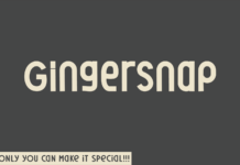 Gingersnap Font Poster 1