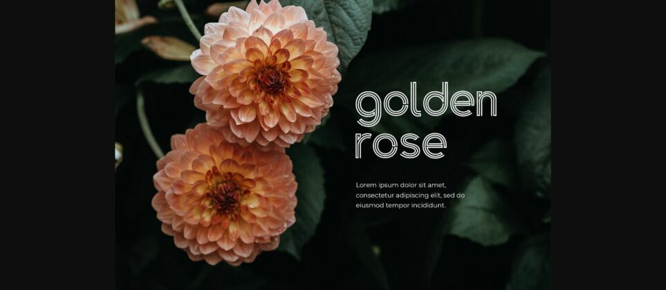 Golden Arrow Font Poster 5