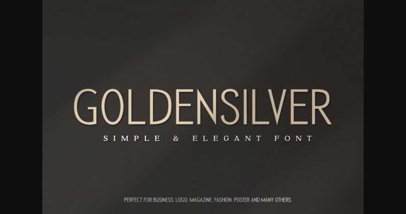 Golden Silver Font Poster 3