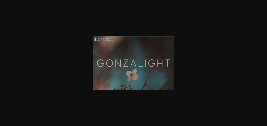 Gonzalight Font Poster 3