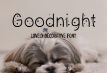 Goodnight Font Poster 1