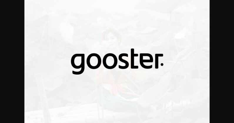 Gooster Font Poster 1