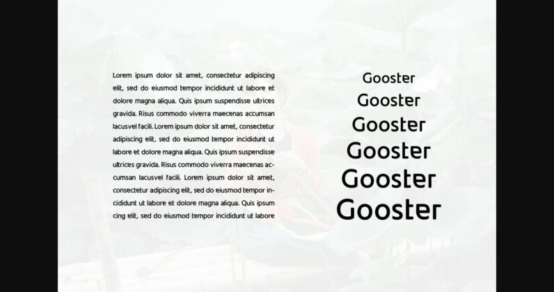 Gooster Font Poster 4