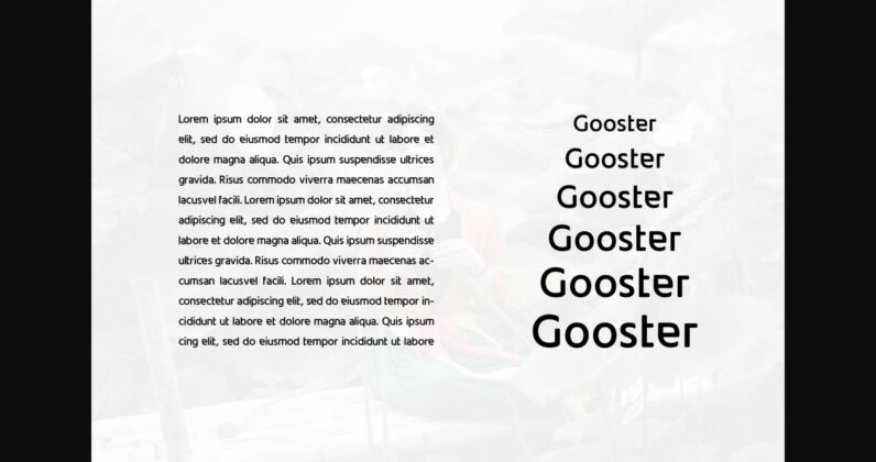 Gooster Font Poster 2