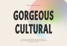 Gorgeous Cultural Font Poster 1