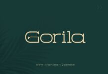 Gorila Poster 1