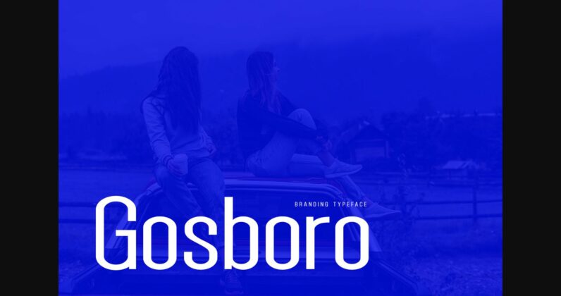 Gosboro Font Poster 3