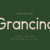 Grancino Font