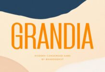 Grandia Font Poster 1