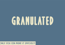 Granulated Font Poster 1