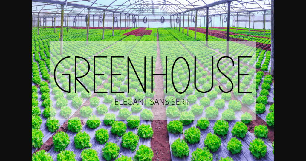 Greenhouse Font Poster 3