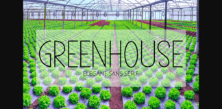 Greenhouse Font Poster 1