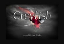 Greyfish Font Poster 1