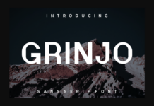 Grinjo Font Poster 1