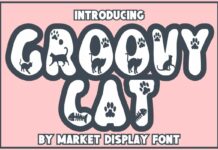 Groovy Cat Font Poster 1